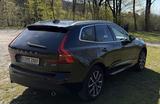 Volvo XC60 D4 Momentum Pro Geartronic Momentum Pro - Volvo XC60 Gebrauchtwagen in Bielefeld