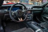 Ford Mustang Shelby GT500 RECARO/Technology-Pack/B&O - Ford Mustang: Shelby Gt500
