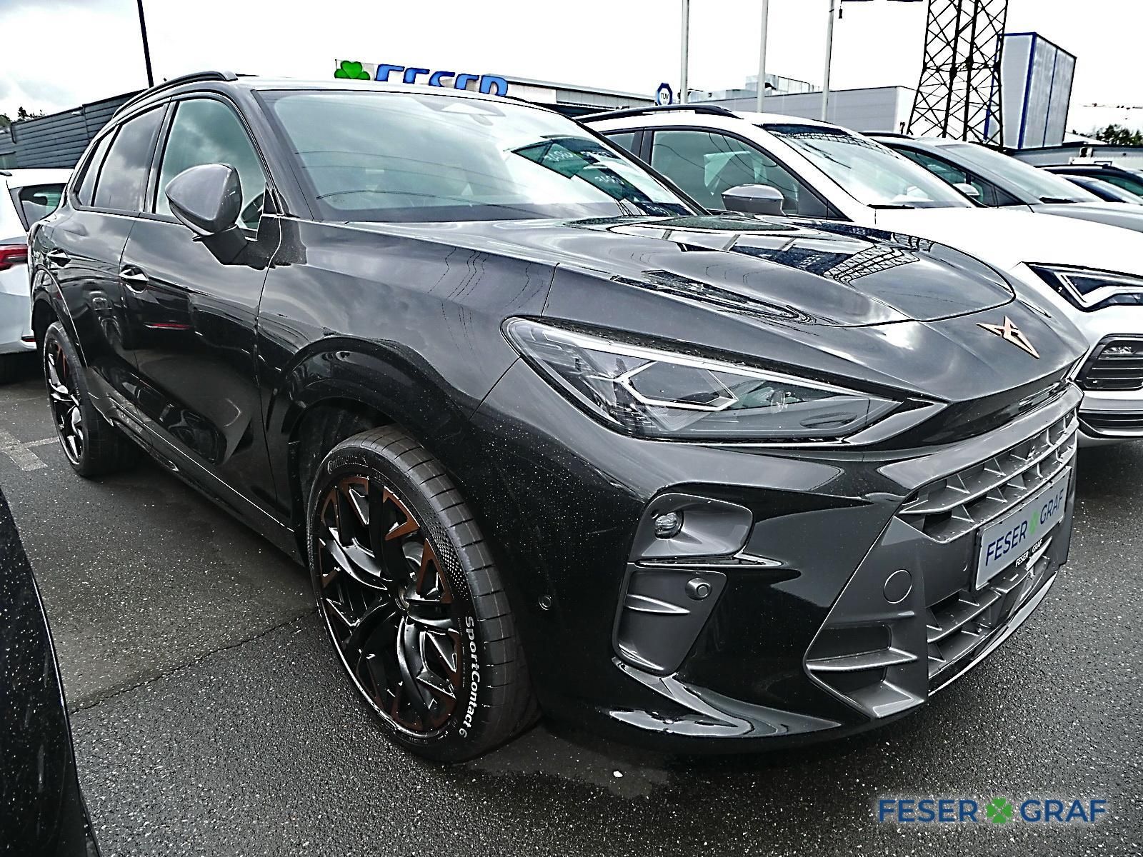Cupra Terramar - Bild 2