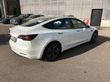Tesla Model 3  *NEUWERTIG* TOP ZUSTAND - Tesla Model 3 in Stuttgart