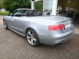 Audi A5 Cabrio 3.0 TDI quattro S-line Sport/Plus DSG - Audi A5: 3.0