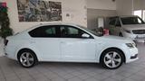Skoda OCTAVIA 1.0 TSI LIM. *DAB*LED*SMART-LINK* - Skoda Octavia aus 2019