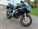 Suzuki SV650S - TÜV 09.26 & MIVV Sportauspuff - SUZUKI SPORTLER 650 SV
