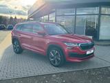 Skoda Kodiaq L&K 2,0 TSI 140 kW 7-Gang DSG 4x4 - Skoda Gebrauchtwagen in Aschaffenburg