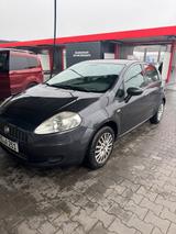 Fiat Punto 1.4 4 türer tüv - Fiat Punto in Mainz