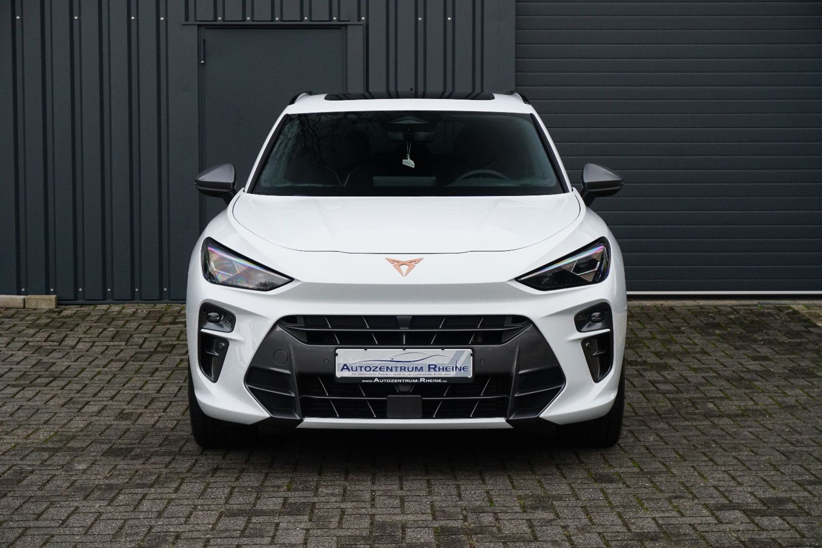 Cupra Terramar - Bild 2