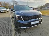 Kia Sorento Platinum 4WD Hybrid - Kia Sorento Tageszulassungen