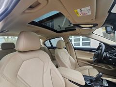 Fahrzeugabbildung 530 e xDrive Luxury Line EU6d-T Park-Assistent