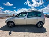 Skoda Roomster Ambition Plus Edition 1.Hand - Skoda Roomster Ambition mit Benzin-Antrieb