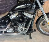 Harley-Davidson Softail Standard  - Offers