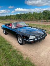 Jaguar XJS V12 Convertible - gebrauchte Jaguar XJS aus dem Jahr 1989