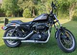 Harley-Davidson XL883R - Angebote