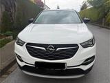 Opel Grandland X 120 Jahre SHZ Tempomat NAVI LHeizung - Opel Grandland (X) Gebrauchtwagen in Bielefeld