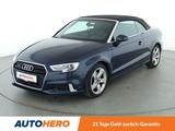 Audi A3 2.0 TDI quattro Sport Aut. *BI-XENON*ACC*CAM* - Audi A3 mit Diesel-Antrieb: Cabrio