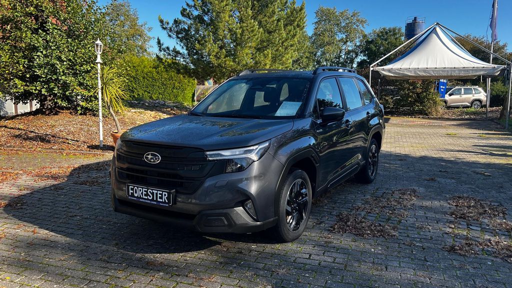 Image of Subaru Forester