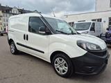 Fiat Doblo 1.6 Multijet - Ratenzahlung mgl. - Fiat Doblo in Chemnitz