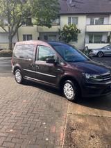 Volkswagen Caddy Trendline 1,4 TGI Erdgas BlueMotion 81kW - VW Caddy Unfallwagen