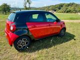 Smart ForFour Passion Pano PDC Turbo Navi, SZ - Smart ForFour von privat