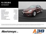 Volkswagen Beetle 1.2 TSI Design +PARKPILOT+LM+SITZHEIZUNG - gebrauchte VW Beetle aus dem Jahr 2017