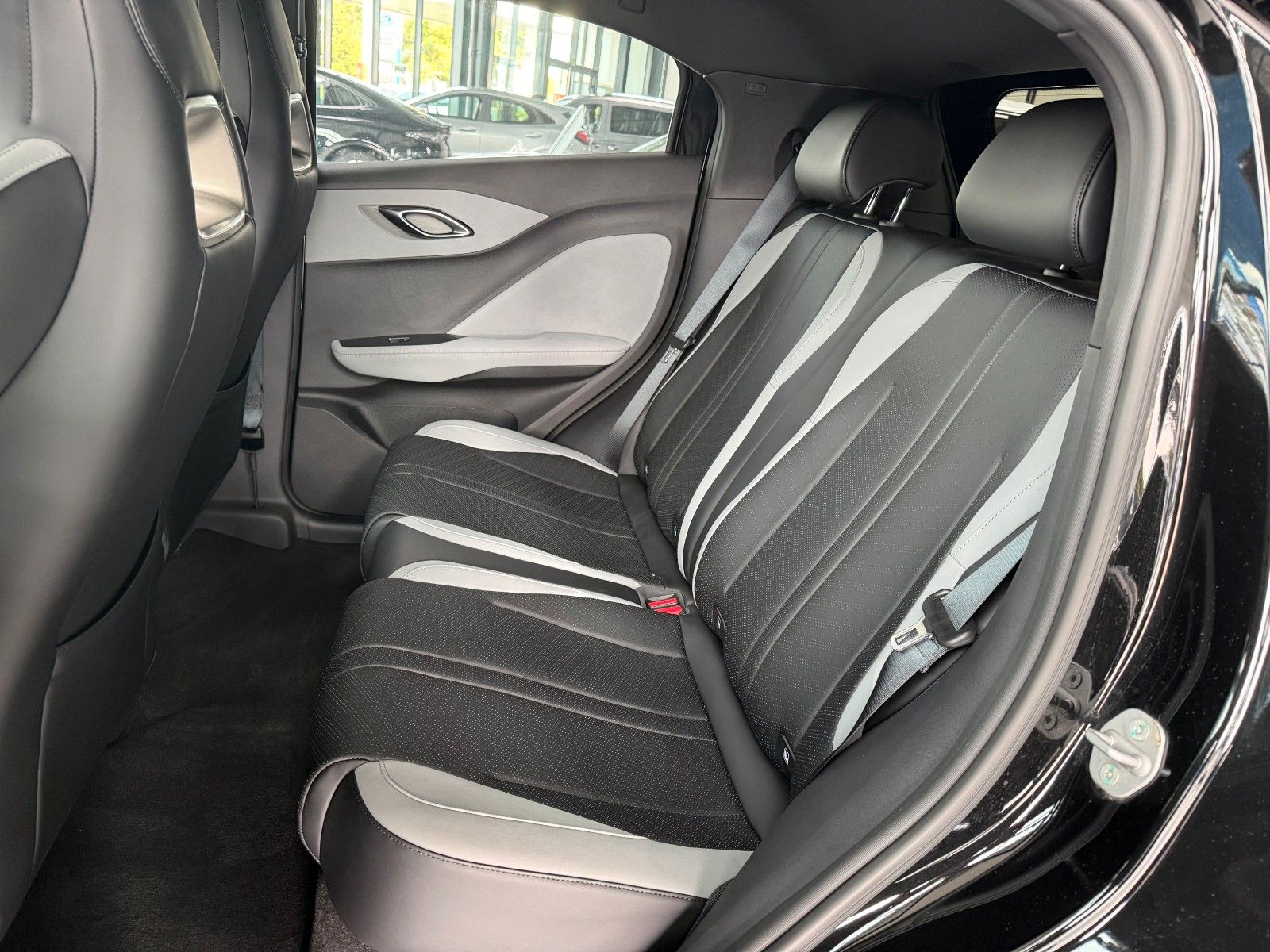 BYD DOLPHIN SURF