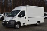 Peugeot Boxer Borco Höhns/Kühltheke/elektr.Klappe,3,5t - Peugeot Boxer