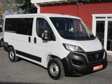 Fiat Ducato Kombi L1H1/9 SITZE/Klima/Kamera/Tempo/AHK - Fiat Ducato: Sitze