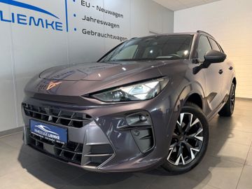 Cupra Terramar - 2