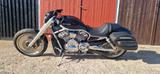Harley-Davidson V Rod VRSCA - 2004 V ROD