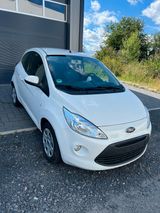 Ford Ka Titanium VOLL - Ford Ka/Ka+ in Bonn