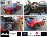 Mazda CX-30 2.0 SKYACTIV-X M-Hybrid Edition 100 *Voll* - Mazda CX-30: Skyactiv X