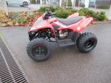 CFMOTO CForce 110 Kinderquad - CFMOTO CFORCE 110
