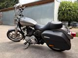 Harley-Davidson Sportster Superlow 1200T - HARLEY-DAVIDSON SPORTSTER SUPERLOW 1200T