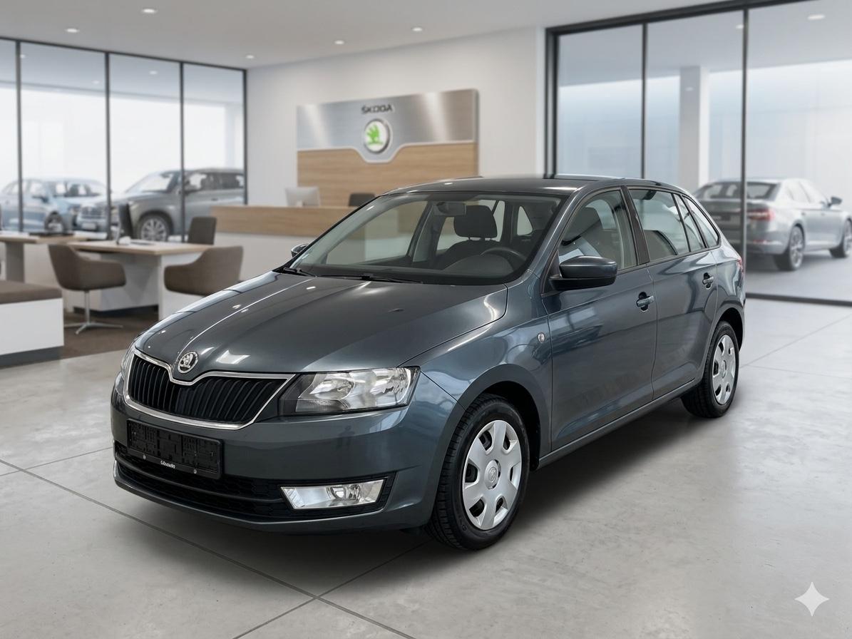 Skoda Rapid Spaceback 1.6 TDI Ambition Motorschaden
