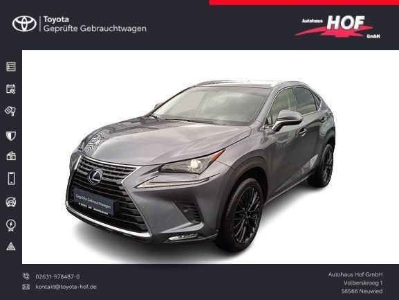 Lexus NX 300h E-FOUR Business Line