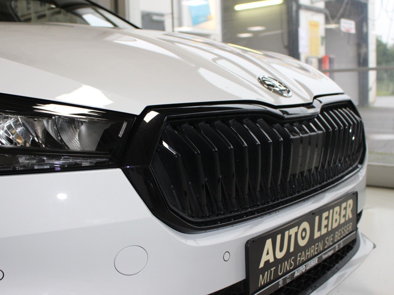 Fahrzeugabbildung SKODA Fabia 1.0 TSI Monte Carlo LED/APP/CAM