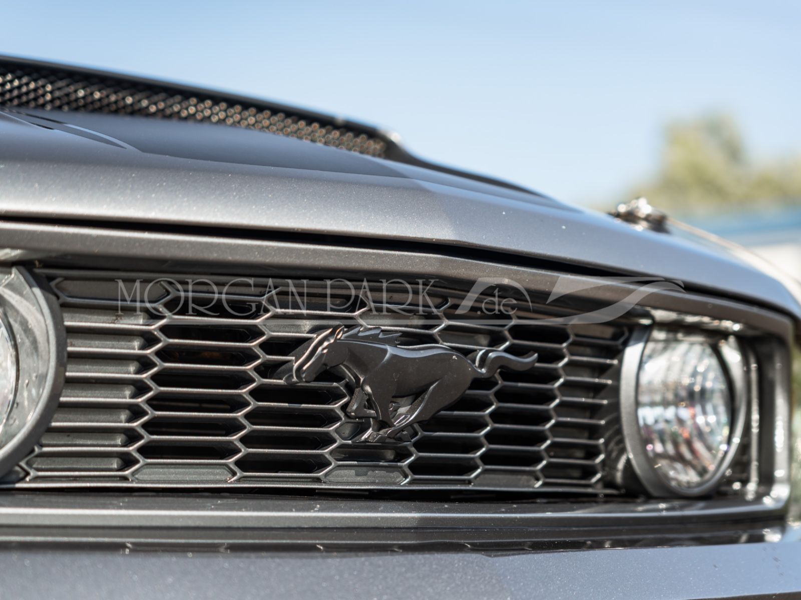 Fahrzeugabbildung Ford Mustang GT *Neidfaktor+480PS*