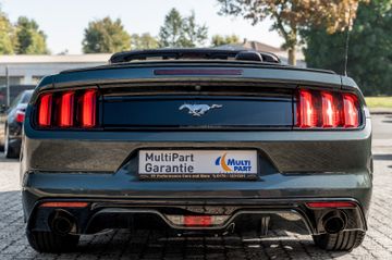 Ford Mustang - 8