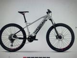 Gasgas TRA4 Yamaha PW-ST 70Nm 630Wh Gr:L - Gasgas E-Bikes