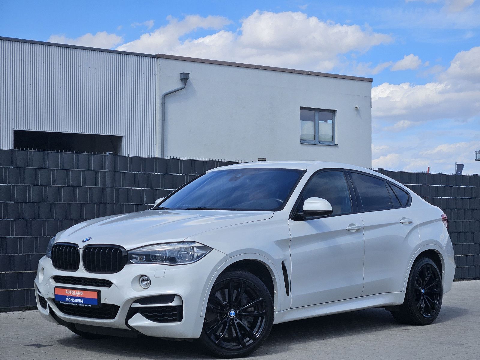 BMW X6 - 1