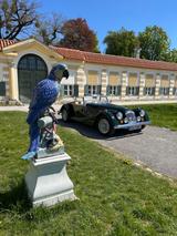 Morgan Plus 8 Sammlerfahrzeug, 1. Hd, Orig. Km 28.455  - scheckheftgepflegte Morgan Plus 8