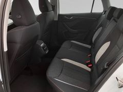 Fahrzeugabbildung Skoda Scala FirstEdition MATRIX-Led Side-Assist Kamera