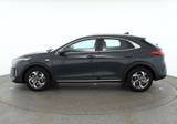 Kia XCeed 1.6 GDI Aut. LED Navi Kamera - Kia XCeed Gebrauchtwagen