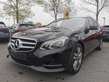 Mercedes-Benz E 250 BlueTec 4Matic Leder AHK - Mercedes-Benz E-Klasse Gebrauchtwagen in Münster