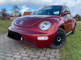 Volkswagen VW Beetle 2.0 Benziner - Volkswagen Beetle aus 2000