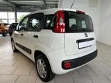 Fiat Panda 1.2 Easy KLIMA - Fiat Panda Gebrauchtwagen in Hannover