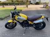 Ducati Scrambler 1100 Icon - Offers