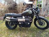 Triumph Street Scrambler  - TRIUMPH STREET SCRAMBLER