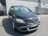 Volkswagen Golf Plus Cross 1.9 TDI United | SHZ | PDC | Tüv - Volkswagen Golf Plus United mit Diesel-Antrieb
