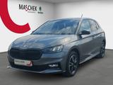 Skoda Fabia Monte Carlo 1.0 TSI DSG Winter/Licht/Sicht - Skoda Fabia: 1.0