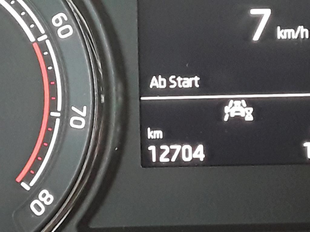 Skoda Fabia Ambition 1.0 TSI DSG TEMPO*PDC*SHZ*LED